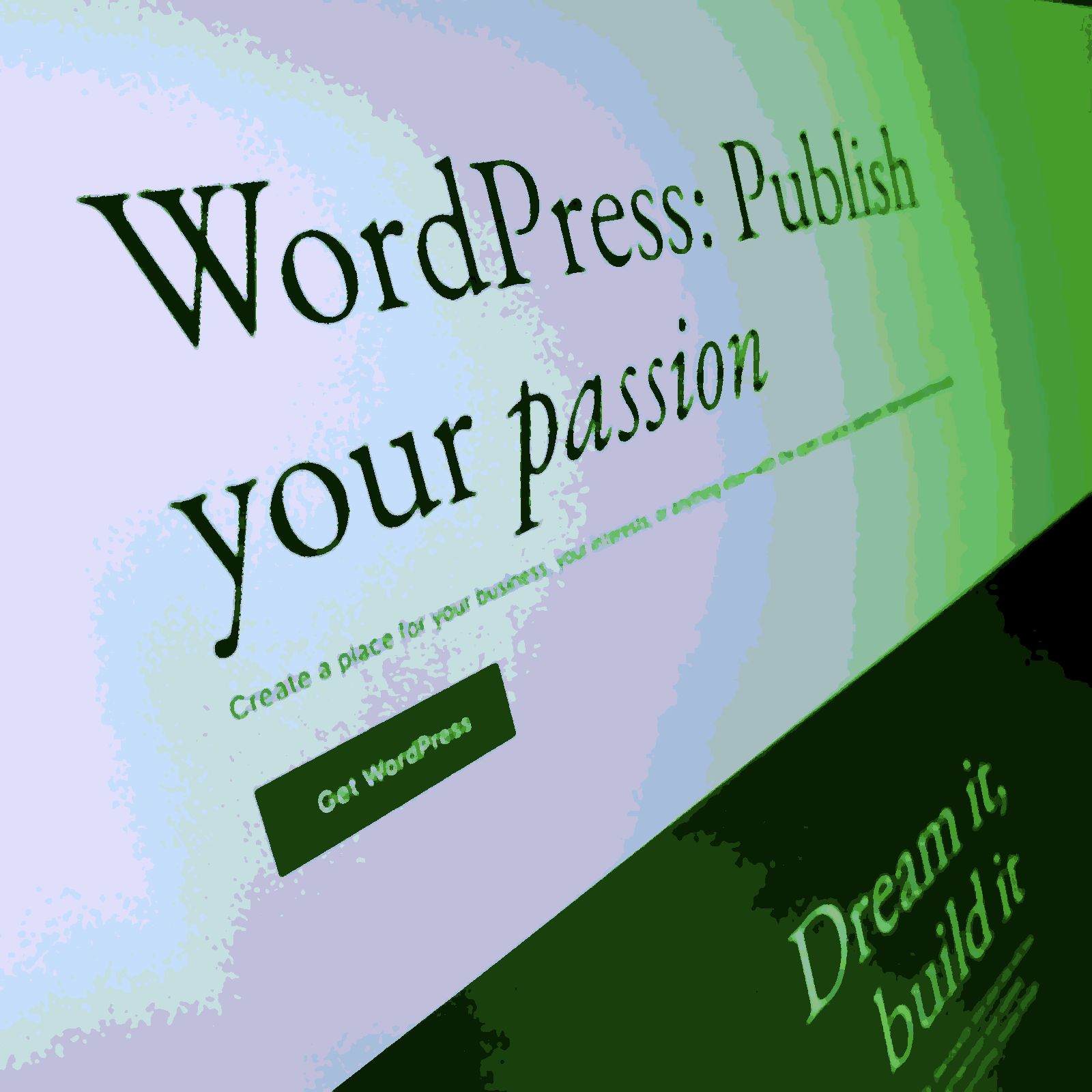 WordPress Basics